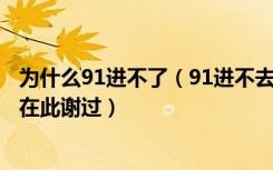 为什么91进不了（91进不去了 麻烦网友给个类似91的 小弟在此谢过）