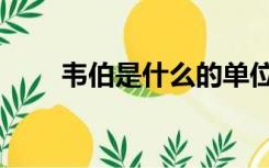 韦伯是什么的单位（什么是韦伯数）