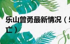 乐山曾勇最新情况（乐山市委书记唐坚自杀身亡）