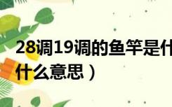 28调19调的鱼竿是什么意思（鱼杆19调28是什么意思）