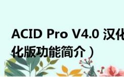 ACID Pro V4.0 汉化版（ACID Pro V4.0 汉化版功能简介）