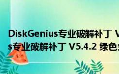 DiskGenius专业破解补丁 V5.4.2 绿色免费版（DiskGenius专业破解补丁 V5.4.2 绿色免费版功能简介）