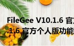 FileGee V10.1.6 官方个人版（FileGee V10.1.6 官方个人版功能简介）