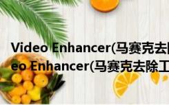 Video Enhancer(马赛克去除工具) V2.0 绿色免费版（Video Enhancer(马赛克去除工具) V2.0 绿色免费版功能简介）