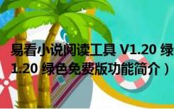 易看小说阅读工具 V1.20 绿色免费版（易看小说阅读工具 V1.20 绿色免费版功能简介）