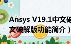 Ansys V19.1中文破解版（Ansys V19.1中文破解版功能简介）