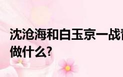 沈沧海和白玉京一战青龙会大军和朝廷兵都在做什么?