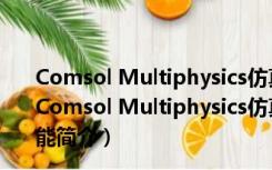 Comsol Multiphysics仿真软件 V5.6.0.280 中文破解版（Comsol Multiphysics仿真软件 V5.6.0.280 中文破解版功能简介）