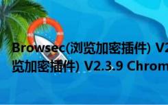 Browsec(浏览加密插件) V2.3.9 Chrome版（Browsec(浏览加密插件) V2.3.9 Chrome版功能简介）