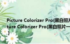 Picture Colorizer Pro(黑白照片一键上色) V2.3.0 绿色单文件版（Picture Colorizer Pro(黑白照片一键上色) V2.3.0 绿色单文件版功能简介）