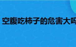 空腹吃柿子的危害大吗（空腹吃柿子的危害）