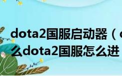 dota2国服启动器（dota2国服启动代码是什么dota2国服怎么进）