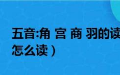 五音:角 宫 商 羽的读音（五音 角 徽 宫 商 羽怎么读）