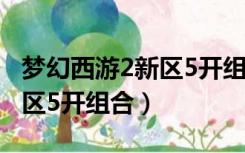 梦幻西游2新区5开组合多少钱（梦幻西游2新区5开组合）