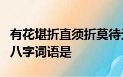 有花堪折直须折莫待无花空折枝的意思相近的八字词语是