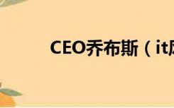 CEO乔布斯（it风云人物乔布斯）