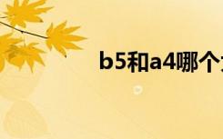 b5和a4哪个大（b5大小）