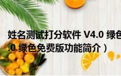 姓名测试打分软件 V4.0 绿色免费版（姓名测试打分软件 V4.0 绿色免费版功能简介）