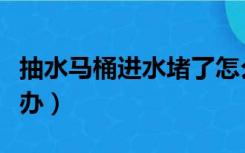 抽水马桶进水堵了怎么办（抽水马桶堵了怎么办）