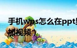 手机wps怎么在ppt里加视频（怎么在ppt里加视频）