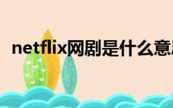 netflix网剧是什么意思（网剧是什么意思）