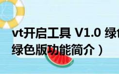 vt开启工具 V1.0 绿色版（vt开启工具 V1.0 绿色版功能简介）