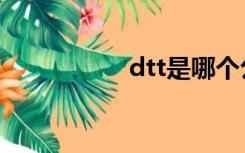 dtt是哪个公司（dtt）