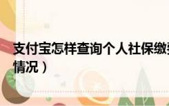 支付宝怎样查询个人社保缴费情况（怎样查询个人社保缴费情况）