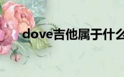 dove吉他属于什么档次（dove吉他）