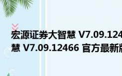 宏源证券大智慧 V7.09.12466 官方最新版（宏源证券大智慧 V7.09.12466 官方最新版功能简介）