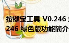 按键宝工具 V0.246 绿色版（按键宝工具 V0.246 绿色版功能简介）