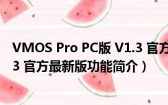 VMOS Pro PC版 V1.3 官方最新版（VMOS Pro PC版 V1.3 官方最新版功能简介）