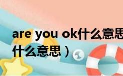 are you ok什么意思怎么回答（are you ok什么意思）