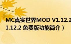 MC真实世界MOD V1.12.2 免费版（MC真实世界MOD V1.12.2 免费版功能简介）