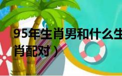 95年生肖男和什么生肖最配（95年属什么生肖配对）