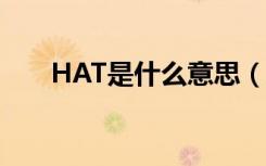 HAT是什么意思（hat的意思是什么）