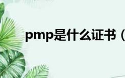 pmp是什么证书（pmp是什么证书）