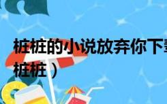 桩桩的小说放弃你下辈子吧（放弃你下辈子吧桩桩）