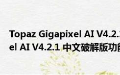 Topaz Gigapixel AI V4.2.1 中文破解版（Topaz Gigapixel AI V4.2.1 中文破解版功能简介）