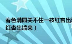 春色满园关不住一枝红杏出墙来全诗（春色满园关不住一枝红杏出墙来）