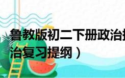 鲁教版初二下册政治提纲（初二下册人教版政治复习提纲）