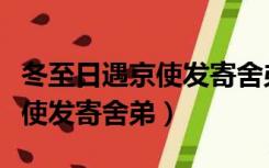 冬至日遇京使发寄舍弟疑字赏析（冬至日遇京使发寄舍弟）