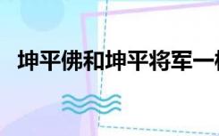 坤平佛和坤平将军一样么（坤平将军功效）