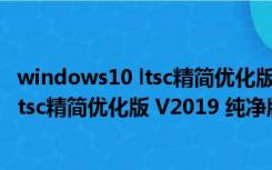 windows10 ltsc精简优化版 V2019 纯净版（windows10 ltsc精简优化版 V2019 纯净版功能简介）