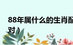 88年属什么的生肖配对（88年属什么生肖配对）