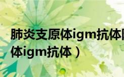 肺炎支原体igm抗体阳性多久才好（肺炎支原体igm抗体）