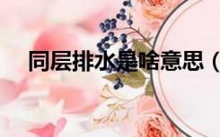 同层排水是啥意思（同层排水什么意思）