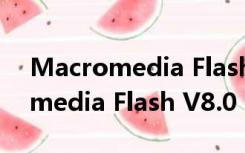 Macromedia Flash V8.0 官方版（Macromedia Flash V8.0 官方版功能简介）