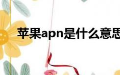 苹果apn是什么意思（apn是什么意思）