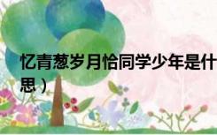 忆青葱岁月恰同学少年是什么意思（恰同学少年  是什么意思）